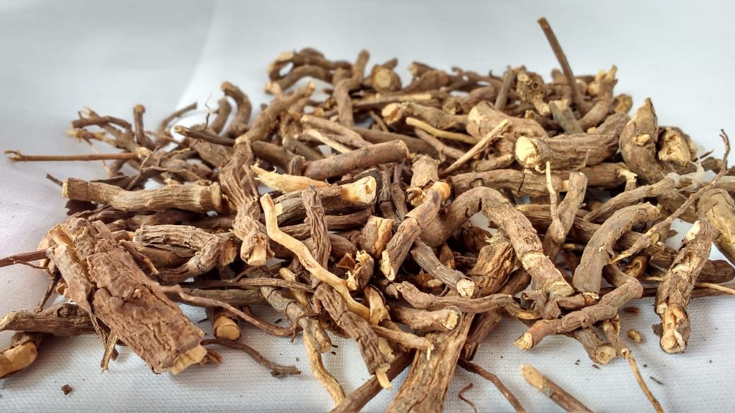 Nannari Root Benefits