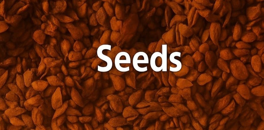 Premium Nannari Seeds